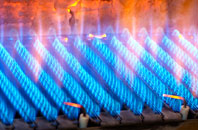 Halton Holegate gas fired boilers